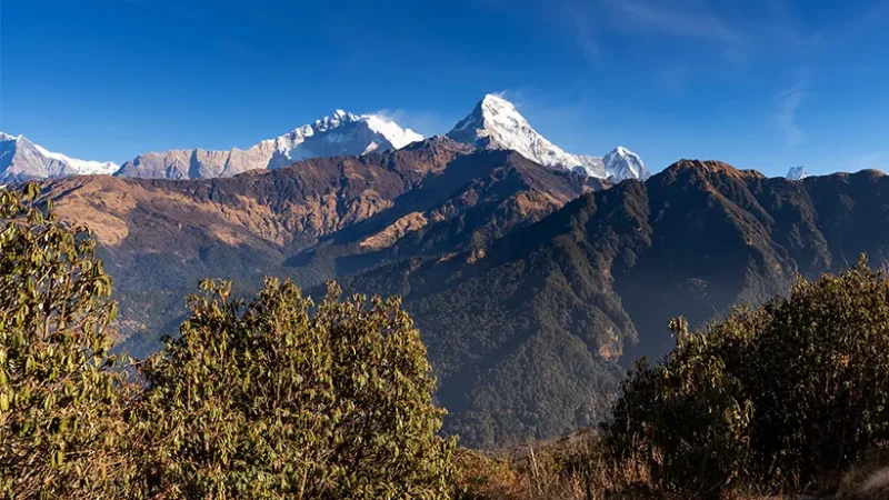 Ghorepani Poon Hill Trek
