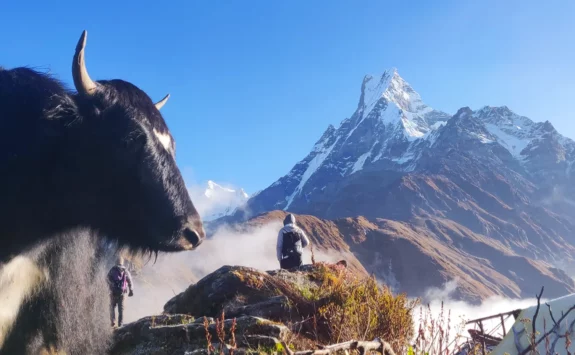 Background Image of Mardi Himal Trek