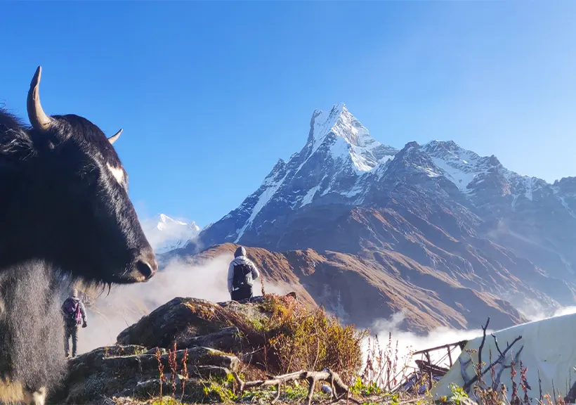 Mardi Himal Trek