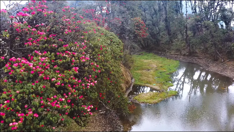 Tinjure Milke Jaljale Trekking