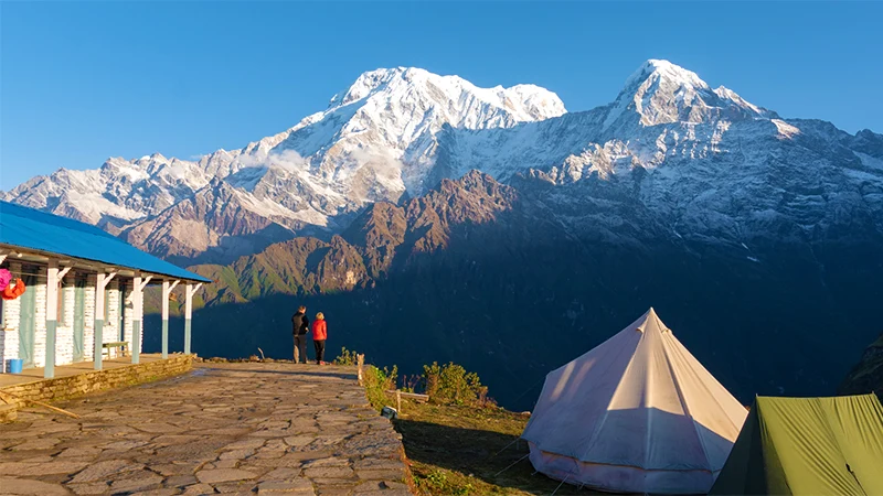 Short 5 Days Mardi Himal Trekking