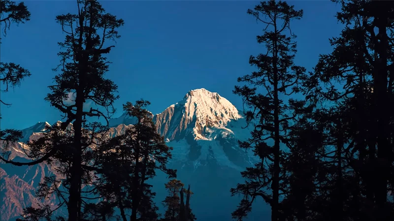 Ultimate Guide to Ruby Valley Trek