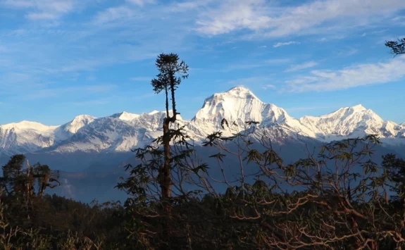 Background Image of 3 Days Short Kokhe Danda Trek | Best Itinerary & Cost