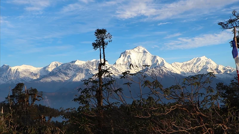 Short Kokhe Danda Trek