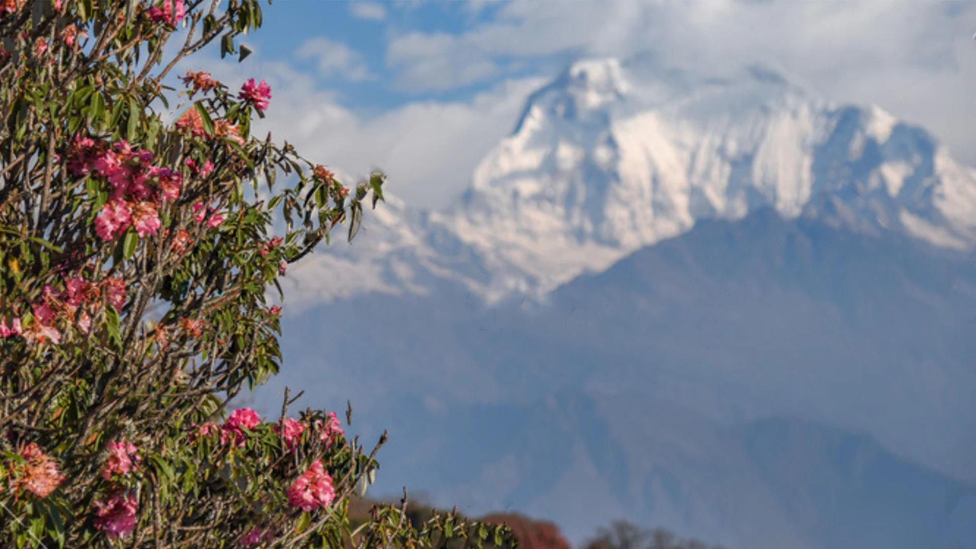 Background Image of Best Spring Trek in Nepal