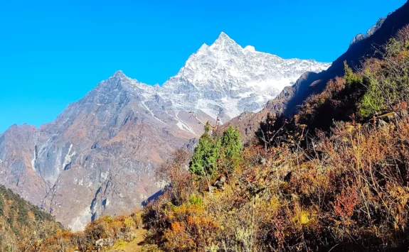 Background Image of Tsho Rolpa Trek Distance Explained: Routes Details & Expert Tips