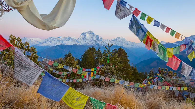 annapurna panorama trek