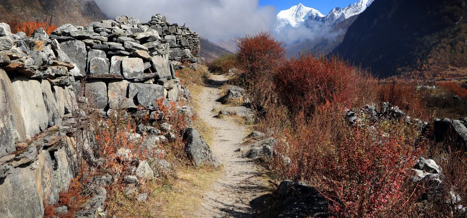Best Season for Botanical Treks in Nepal